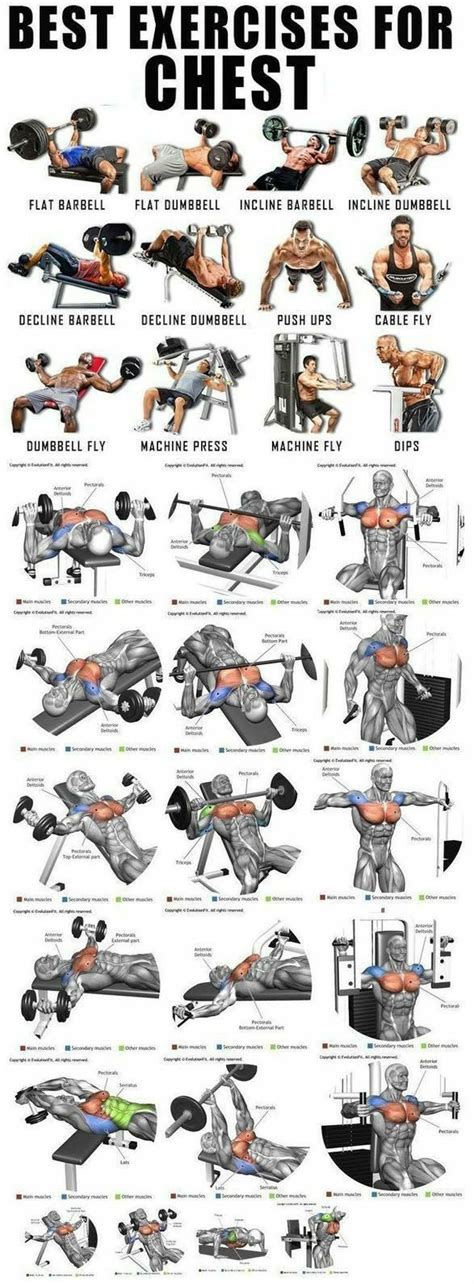 Chest workout | Sport musculation, Exercice, Musculation