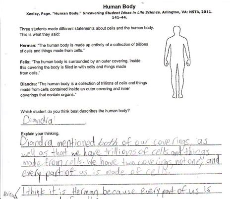 Chapter 3 Cells And Tissues Worksheet Answer Key