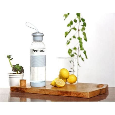 500ML Femora Borosilicate Glass Fruit Infusing Water Bottle at Rs 488/piece | Fruit Infusing ...