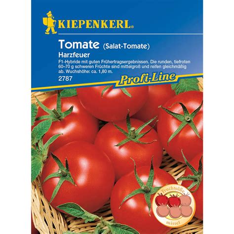 Salat Tomate Harzfeuer F1 Kaufen 2 49