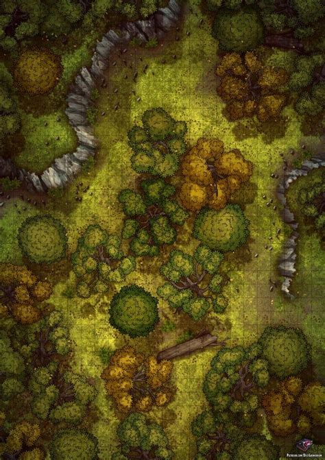 Forest Wilderness 24x34 Battlemaps In 2020 Fantasy Map Forest Map Dungeon Maps