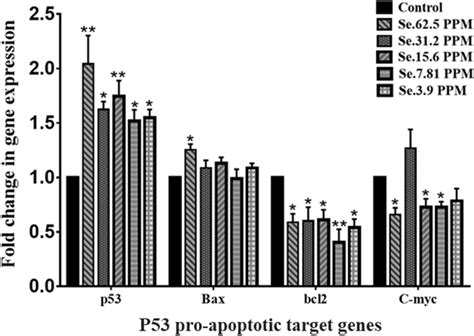 Comparison Of P53 Bax Bcl 2 And C Myc Mrna Levels In The A2780 Cells Download Scientific