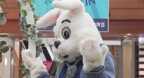 Easter Bunny Spotted At Haywood Mall