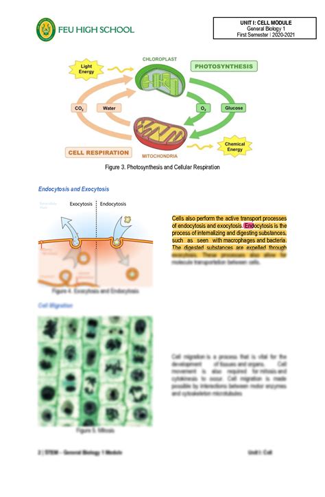 Principles Of Cell Biology 8