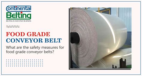 Explore the Safety Measures of Food Grade Conveyor Belt