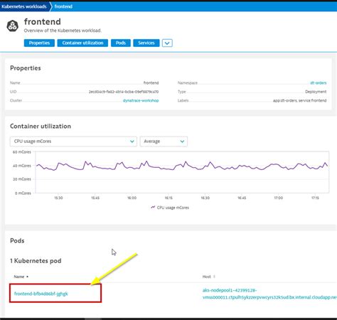 Review Kubernetes Within Dynatrace Mp Devops Series