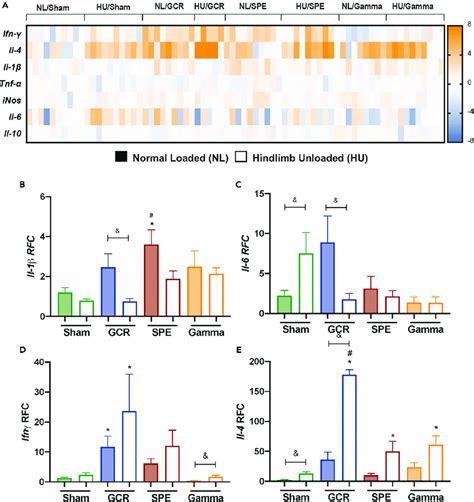 Cytokine Profiles Are Distinct Following Simulated Deep Space Exposures Download Scientific