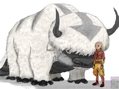 Aang And Appa By Avatar Fan On Deviantart