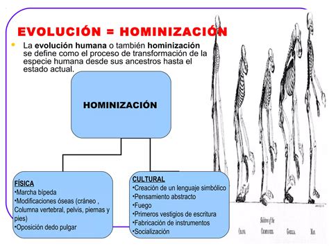 Prehistoria Y Primeras Civilizaciones PPT