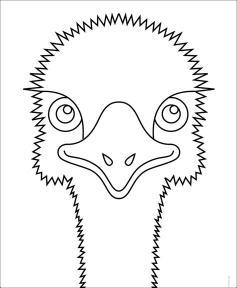 Easy How To Draw An Emu And Emu Coloring Page