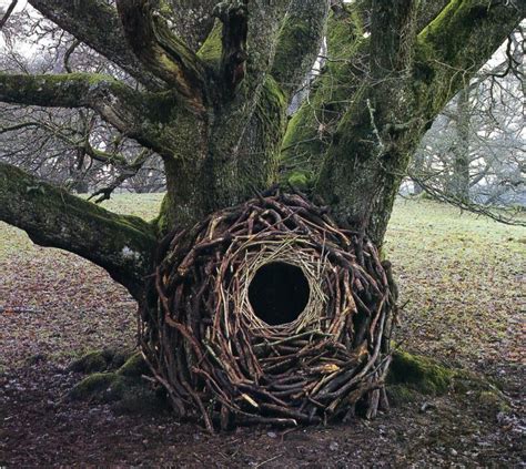 How An Artist Uses Nature To Create This Is Beyond Incredible Trendzified