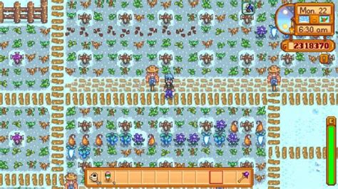 Stardew Valley: What to Do During Winter - Gamerzy Magazine