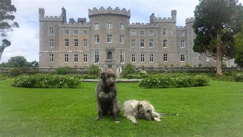 How Many Castles Are In Ireland? The Answer Will SHOCK YOU.