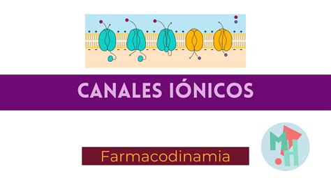 Canales iónicos FARMACODINAMIA YouTube