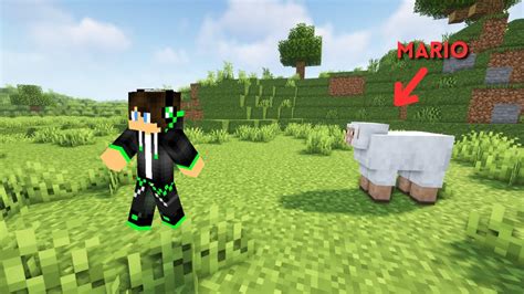 Minecraft Dar Un MOB SECRET Ma Vaneaza YouTube