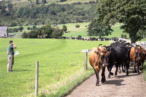 AHDB Dairy On Twitter Next Week S Events Mon Research Roadshow