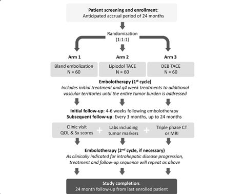 Study Flowchart Ct Computed Tomography Mri Magnetic Resonance