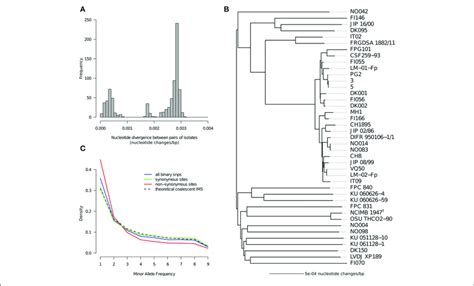 Nucleotide Diversity A Distribution Of Pairwise Nucleotide