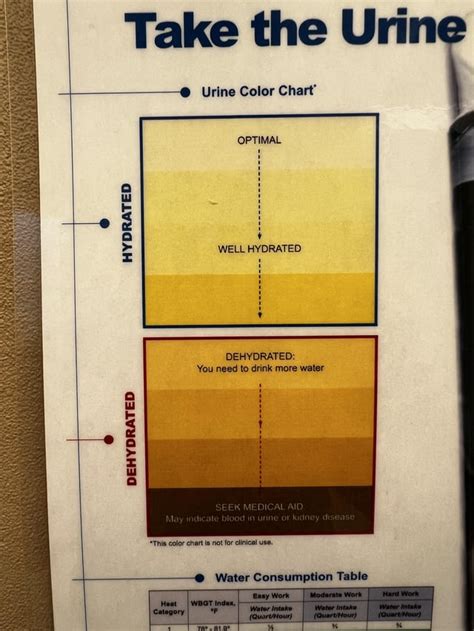 Optimal Hydration Chart : r/Poppt1