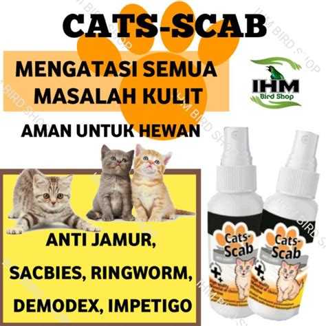 Jual Obat Anti Jamur Kucing Cats Scabs Infeksi Kulit Scabies Cat Ampuh