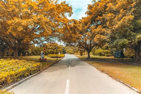 El paisaje está en todas partes presta atención al paisaje en todas