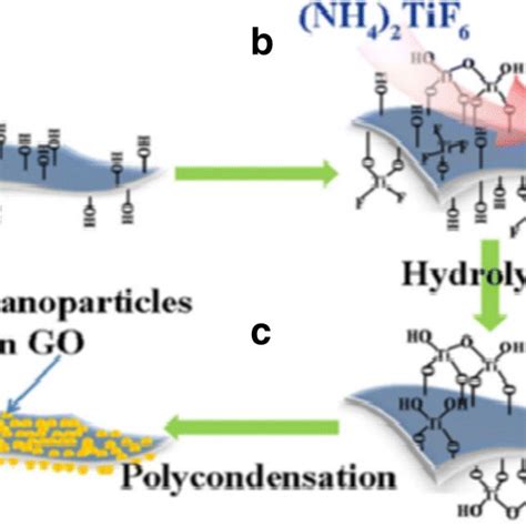 Schematic Representation Of A Graphene Oxide Go B Grafted Nh Tif