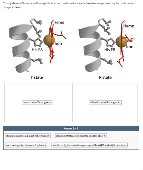 Solved Classify The Averall Structure Of Hemoglobin In Its