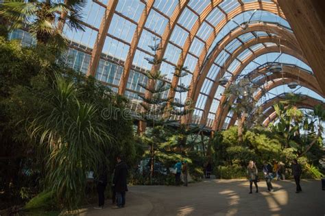 The Sheffield Winter Gardens Exterior From The City Centre Of Sheffield