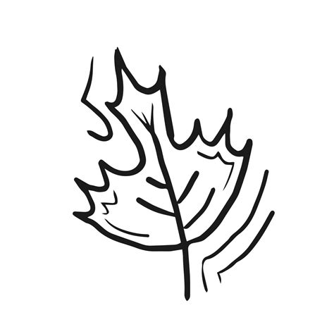 Maple Leaf Doodle Vector Illustration 9878168 Vector Art At Vecteezy