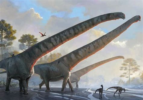 Researchers Identify The Dinosaur With The Longest Neck