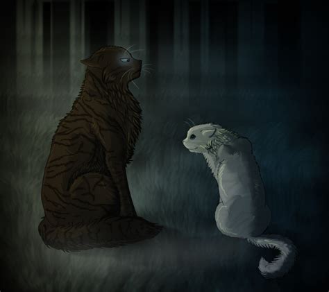 Hawkfrost Fell In Love With Ivypool In The Dark Forest He Just Knew