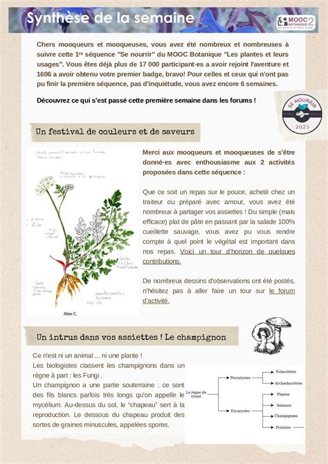 Calaméo Les Synthèses Du Mooc