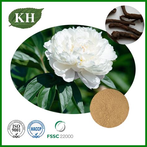 Paeonia Root Extract From China Manufacturer Kingherbs