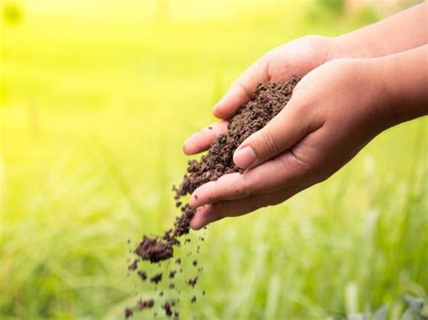 Biologisch Naaktslakken Bestrijden Tuiniernatuurlijk Nl