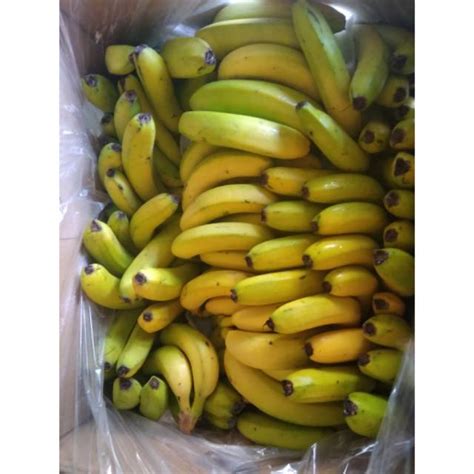 Jual Pisang cavendish | Shopee Indonesia