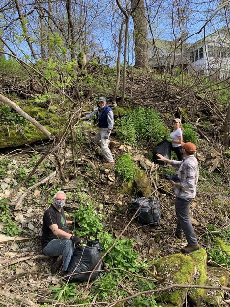 Marine On St Croix Volunteer Planting Day Lower St Croix Watershed