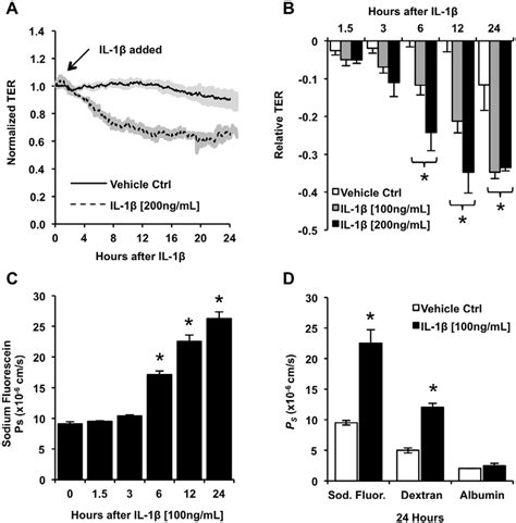 Treating Brain Microvascular Endothelial Cells Bend 3 Cells With Il1b Download Scientific