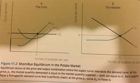 Market Structure Perfect Competition Flashcards Quizlet