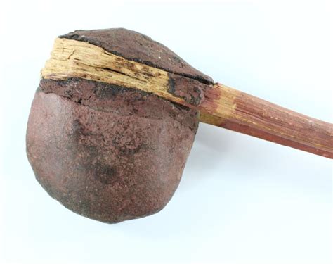 Lot Australian Aboriginal Stone Axe With Wooden Shaft