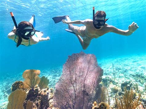 island  bahamas  snorkeling granada weblog photo exhibition