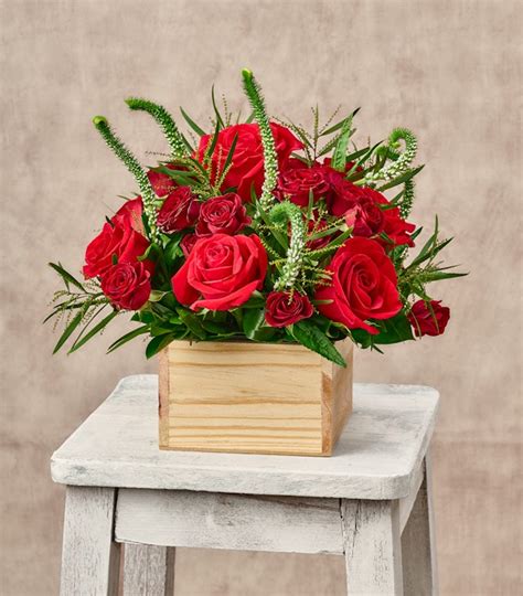 Orlando Florists | Same Day Flower Delivery FL | Floom