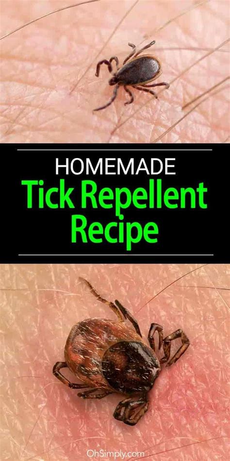 How To Make A Homemade Tick Repellent Recipe Tick Repellent Tick