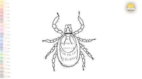 Tick Drawings Animal Drawings How To Draw A Tick Step By Step