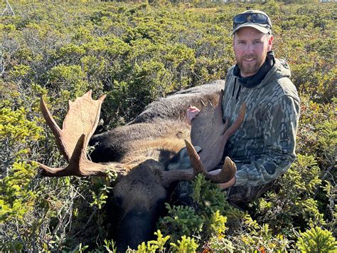 Our Hunts Caribou Cove Outfitters Big Game Hunting In Newfoundland