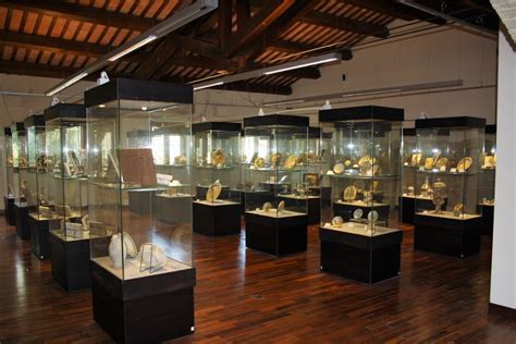 Museo Delle Ceramiche Di Castelli Domenico Del Bello Entra Nel