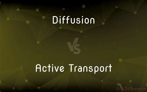 Diffusion vs. Active Transport — What’s the Difference?