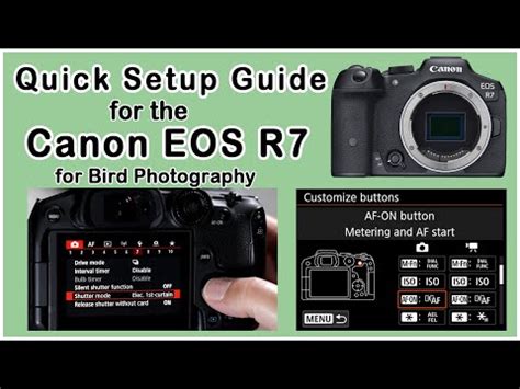 Canon R Quick Setup For Bird Photography C