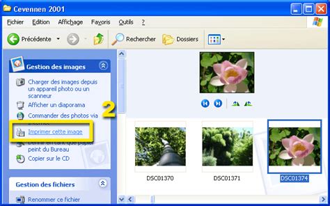 Windows Xp Assistant D Impression Pour Images Et Photos