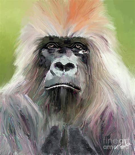 Old Gorilla Digital Art By Tom Sachse Fine Art America