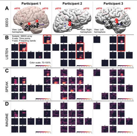 Figure 1 From Identification Of Discriminative Features For Decoding